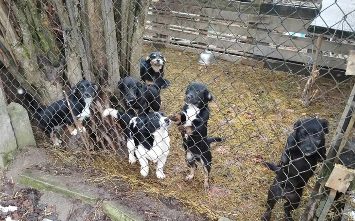 Zbiórka Pusta posesja i one bez matki - zdjęcie główne