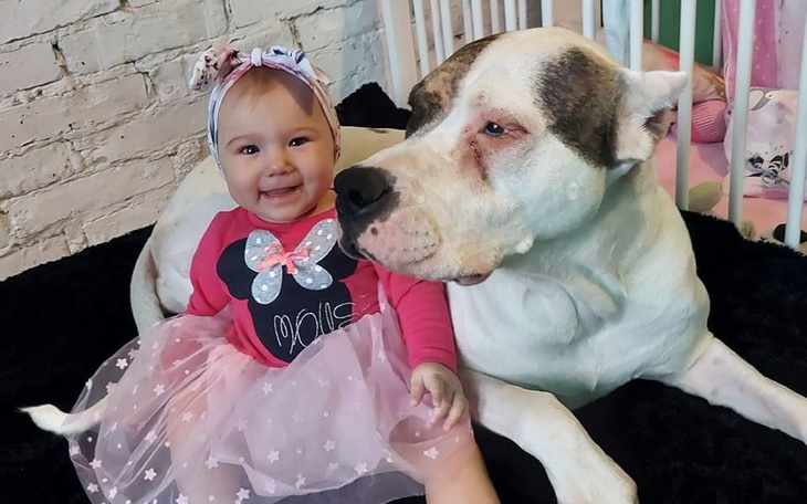 Zbiórka Na operację Merry - zdjęcie główne