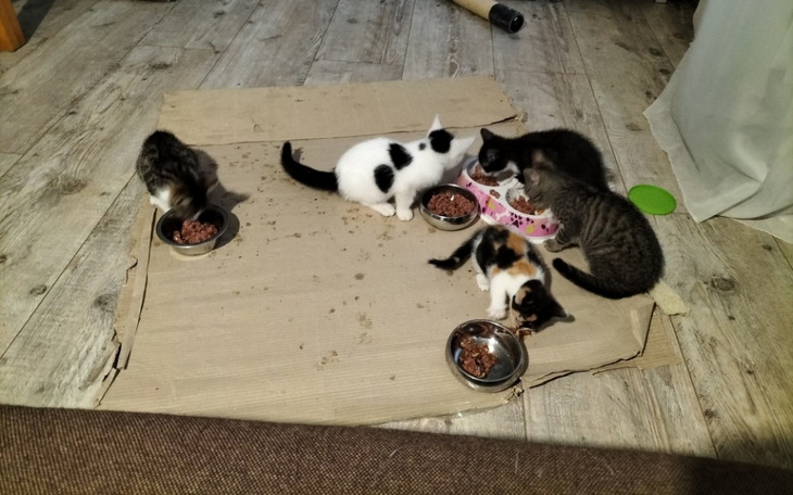 Zbiórka Znowu nie mamy żwirku - zdjęcie główne