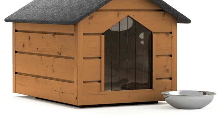 Zbiórka Buda dla bezdomnego psa - zdjęcie główne