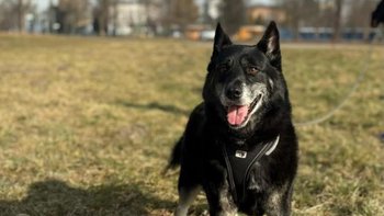 Zbiórka Fizjoterapia dla Stefana! - miniaturka zdjęcia