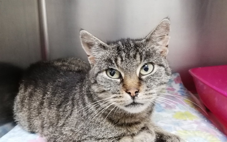 Zbiórka Burcia, jest czas radości i łez - zdjęcie główne