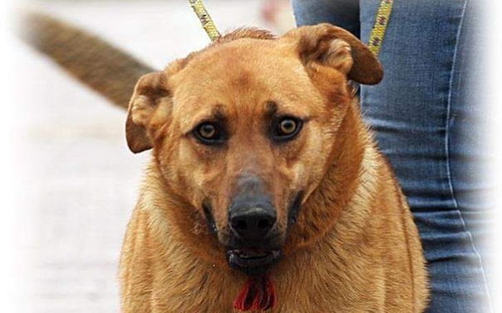 Zbiórka Paragon z Radys prosi o wolność - zdjęcie główne