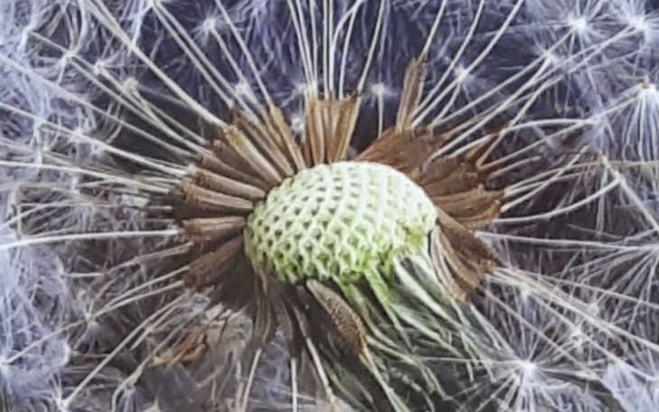 Zbiórka zaopatrzenie - zdjęcie główne