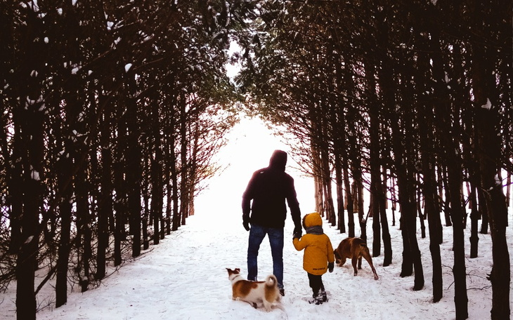 Zbiórka Najpilniejsze rachunki - zdjęcie główne