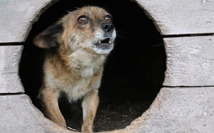 Zbiórka By dalej ratować... - zdjęcie główne