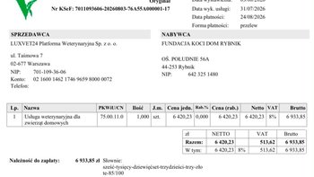 Zbiórka Kolejna faktura za leczenie bezdomniaków - miniaturka zdjęcia