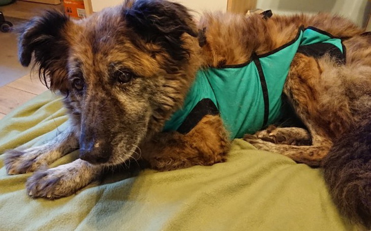 Zbiórka Operacja Pokerki - zdjęcie główne