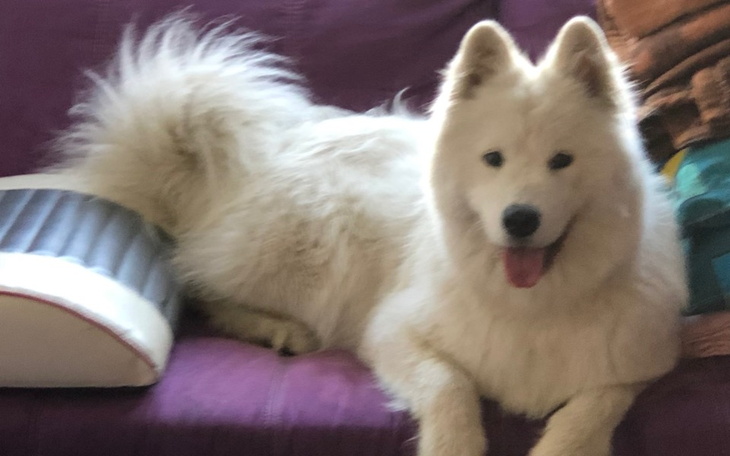 Zbiórka Operacja kręgosłupa i rechab. - zdjęcie główne