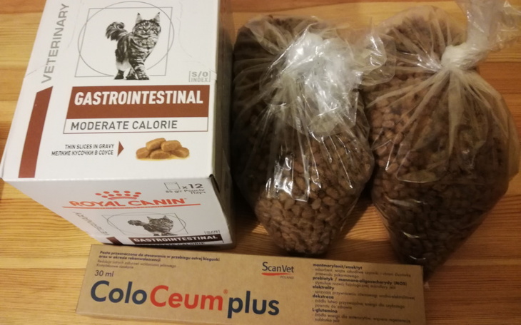 Zbiórka Przez śniegi i knieje do sklepu - zdjęcie główne