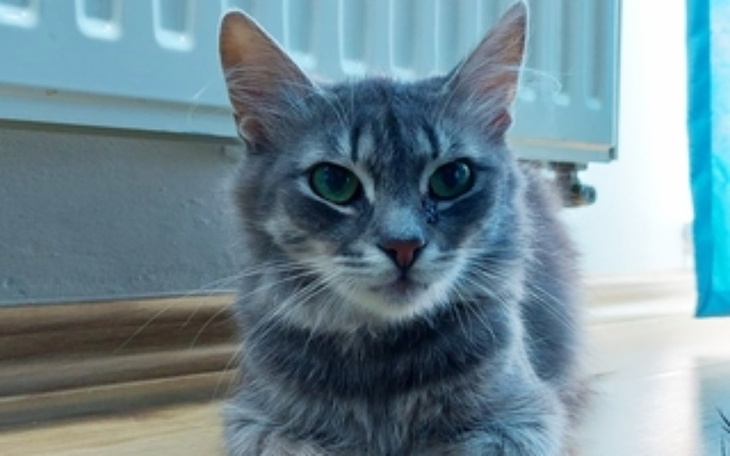 Zbiórka Tymczasem czerwiec - zdjęcie główne