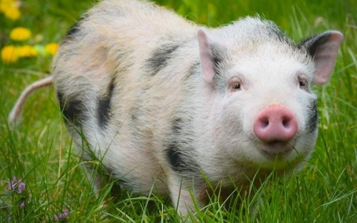 Zbiórka Zdążyć przed majówką - zdjęcie główne