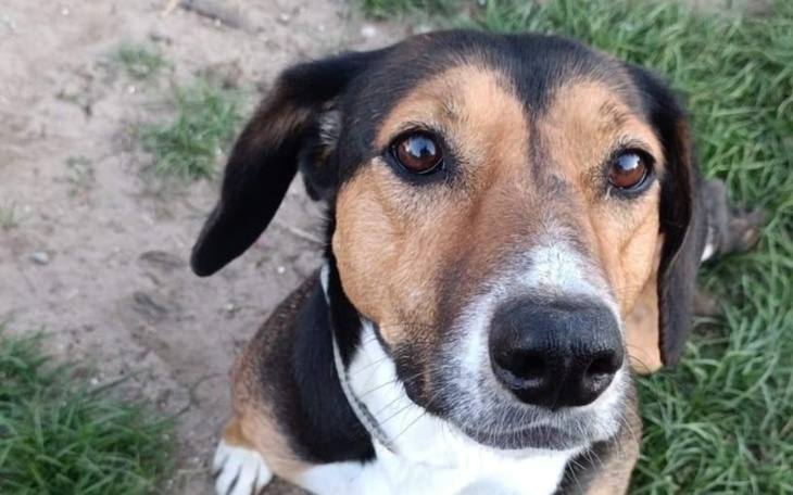 Zbiórka Nic nie ma za darmo - zdjęcie główne