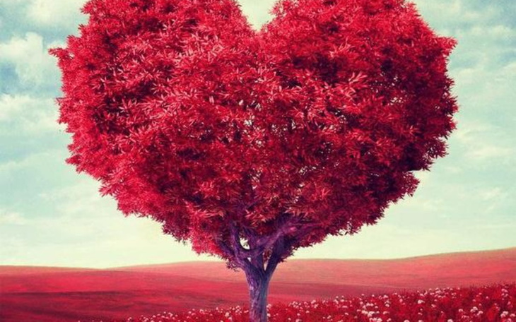 Zbiórka Radosc dziecka - zdjęcie główne