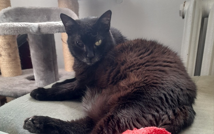 Zbiórka One odeszly, dlug pozostal.. - zdjęcie główne