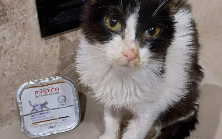 Zbiórka Karma dla Johnnego - zdjęcie główne