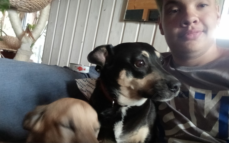 Zbiórka Pomoc zwierzętom3 - zdjęcie główne