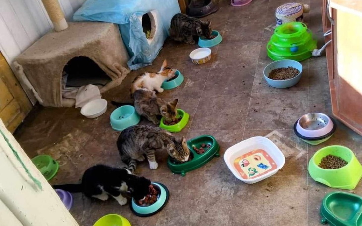 Zbiórka KOTY Mikołajki - zdjęcie główne