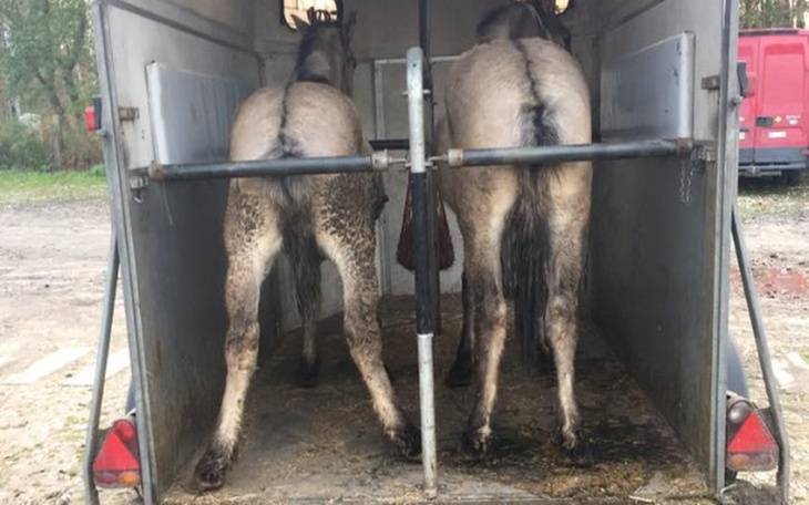 Zbiórka Wyleczyć paniczny strach - zdjęcie główne