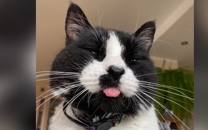 Zbiórka Filipek - 84 dni walki o życie - zdjęcie główne