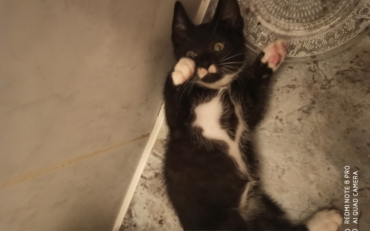 Zbiórka Walczę o zdrowie - zdjęcie główne