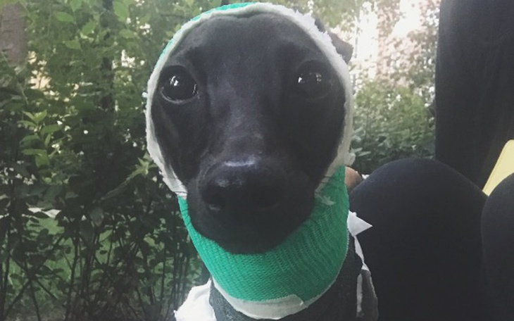 Zbiórka Operacja Augusta w Giessen - zdjęcie główne