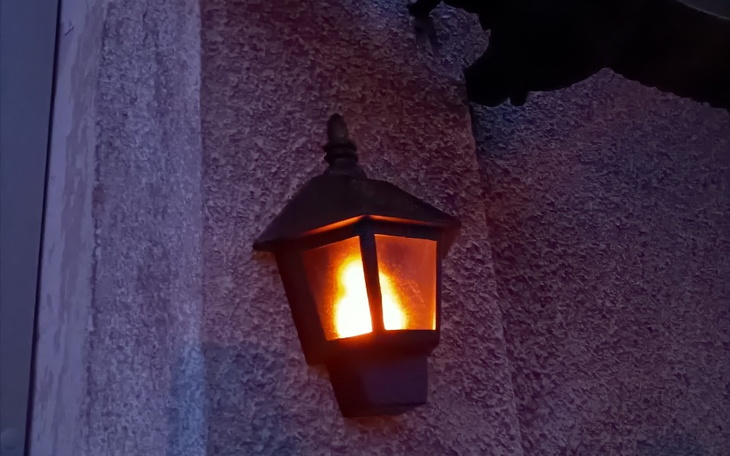 Zbiórka Pellet drzewny - zdjęcie główne