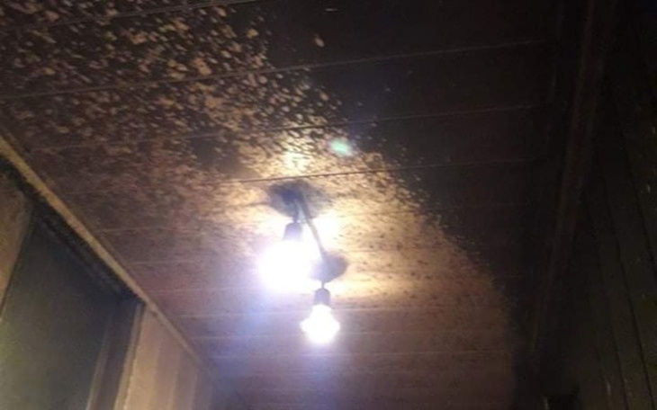 Zbiórka Pomoc pogorzelcom w Tychach - zdjęcie główne