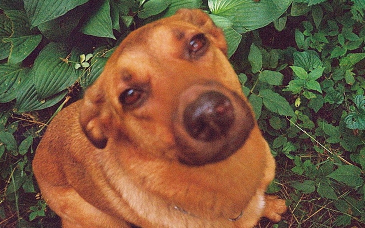 Zbiórka Elya potrzebuje operacji - zdjęcie główne