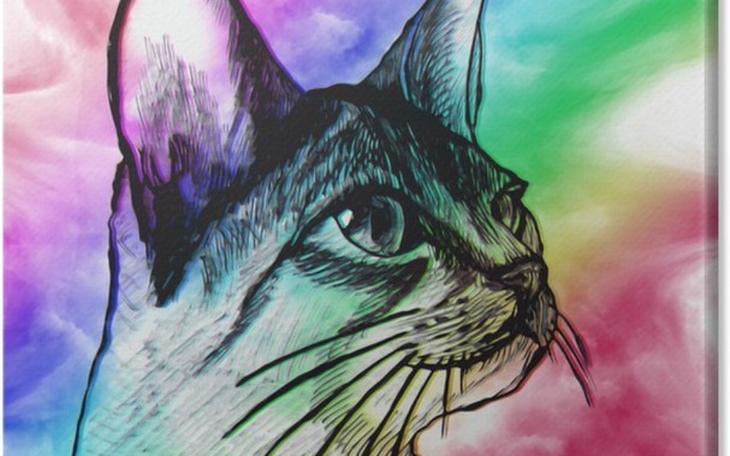 Zbiórka Ciaza , osamotniona - zdjęcie główne