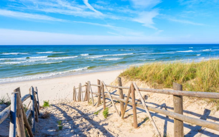 Zbiórka Zbieramy na bilet do pracy. - zdjęcie główne