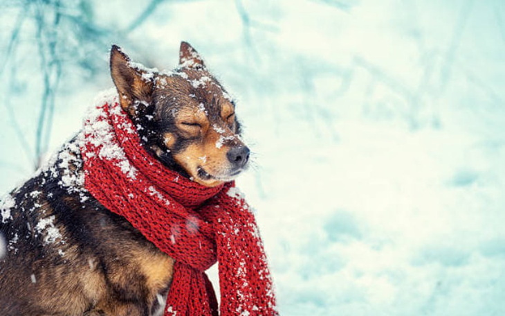Zbiórka Święta w zimnej celi - zdjęcie główne
