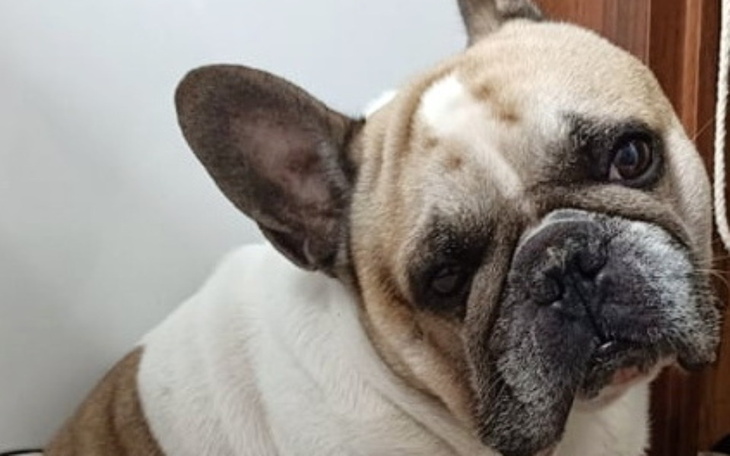 Zbiórka Na życie dla Mido - zdjęcie główne