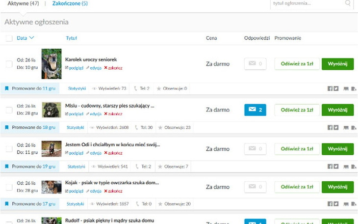 Zbiórka Bez ogłoszeń nie znajdę im domów - zdjęcie główne