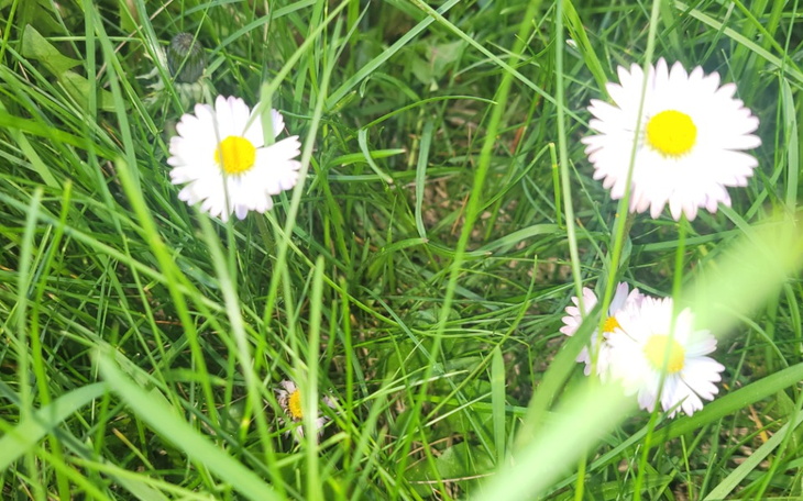 Zbiórka Pomoc finansową. - zdjęcie główne