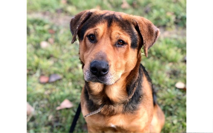 Zbiórka Leczenie Blackiego - zdjęcie główne