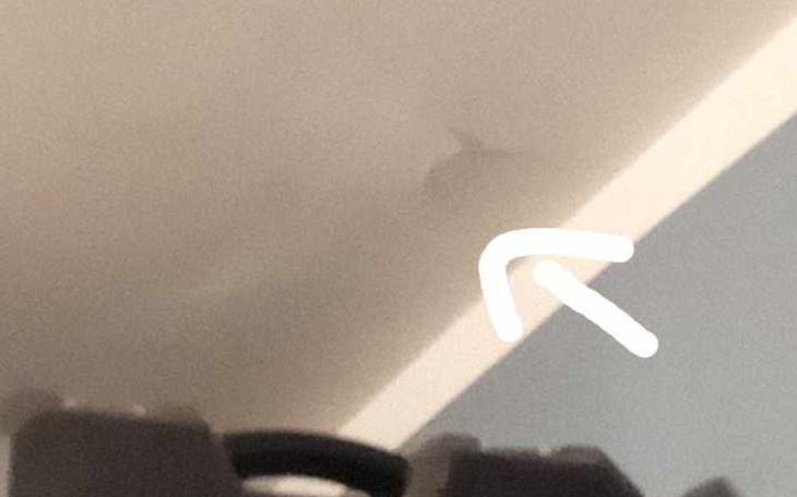 Zbiórka Remont mieszkania / - zdjęcie główne