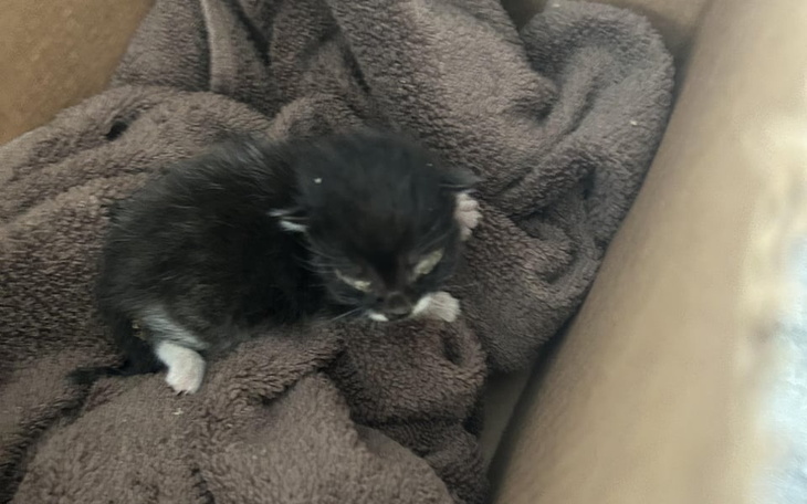 Zbiórka DAJ MU ŻYĆ - pomagamy - zdjęcie główne