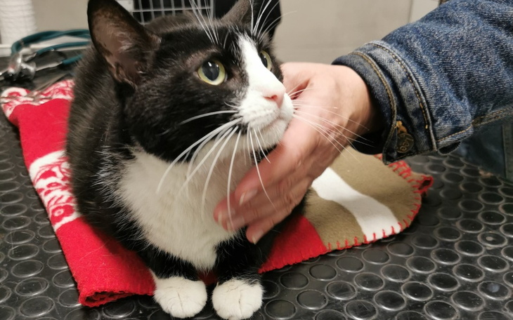 Zbiórka Pomóżcie mi wygrać życie - zdjęcie główne