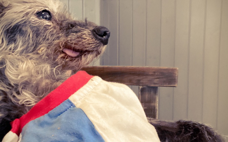 Zbiórka Z tej zbiólki zapłace faktulki - zdjęcie główne