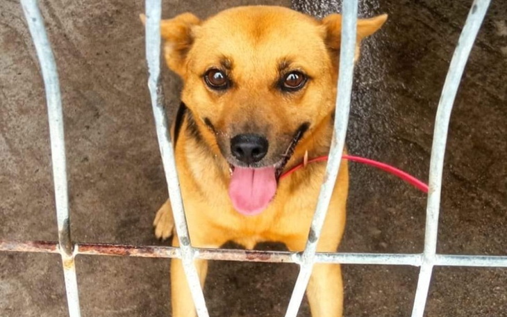 Zbiórka Na transport do domów tymczasowy - zdjęcie główne