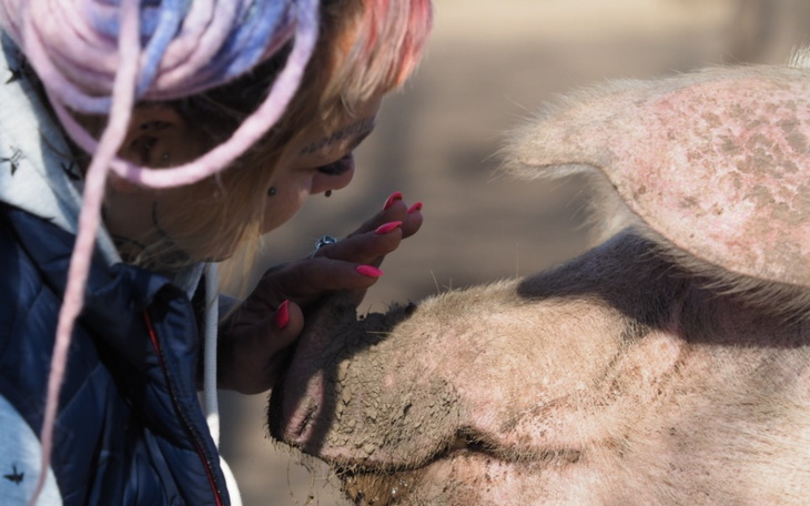 Kobieta głaszcząca świnię, obie postacie w bliskim kontakcie.
