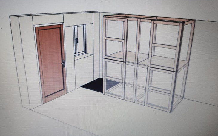 Zbiórka Dom dla kociaków - zdjęcie główne