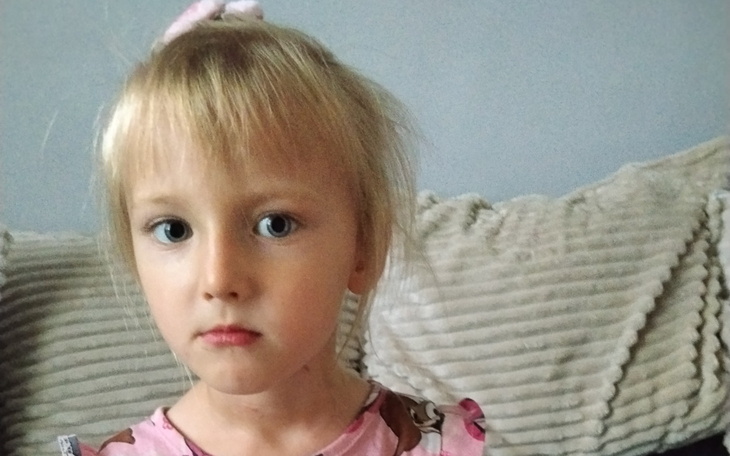 Pies w ogrodzie przy kolejnym psie, trawa i palety