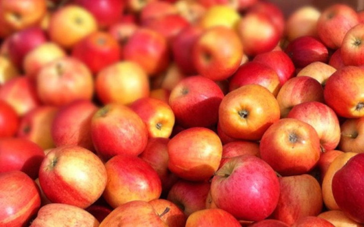 Zbiórka tak - zdjęcie główne