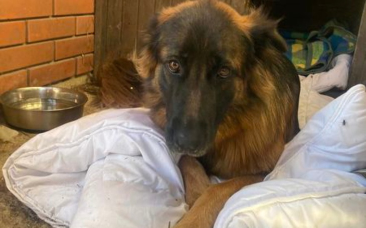 Zbiórka Napełnijmy brzuszki - zdjęcie główne