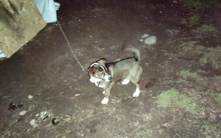 Zbiórka Zerwaliśmy ten łańcuch - zdjęcie główne