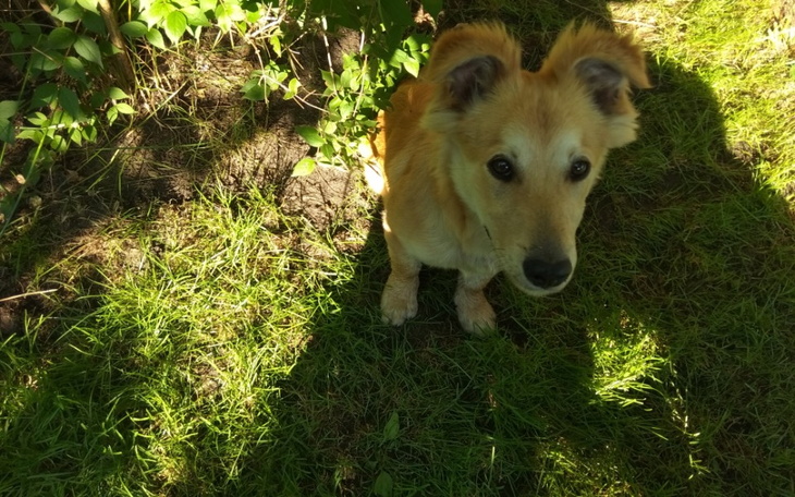 Zbiórka Profilaktyka Dżekiego - zdjęcie główne