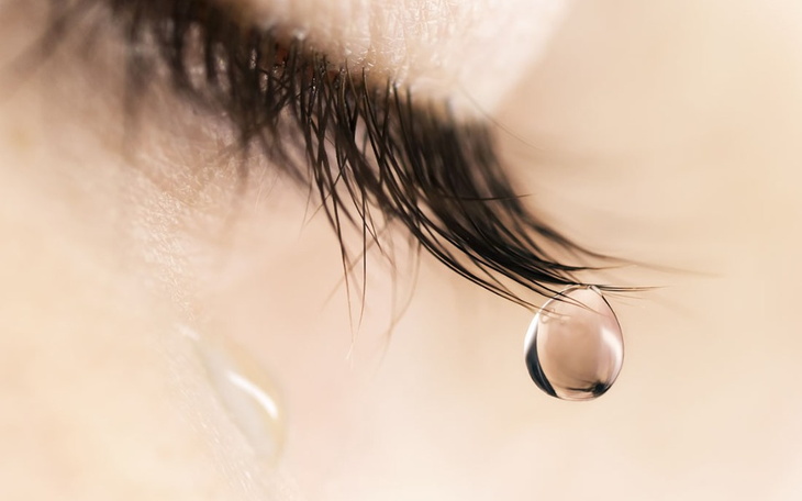 Zbiórka Pomoc dla wiki - zdjęcie główne