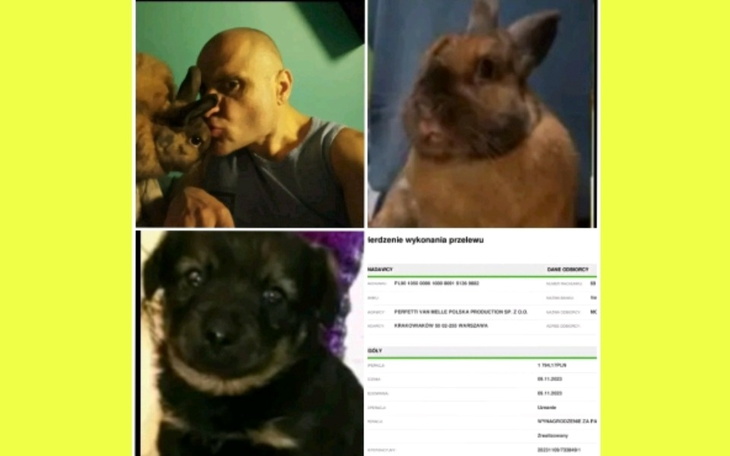 Zbiórka Na żywność dla na, środki chigi. - zdjęcie główne